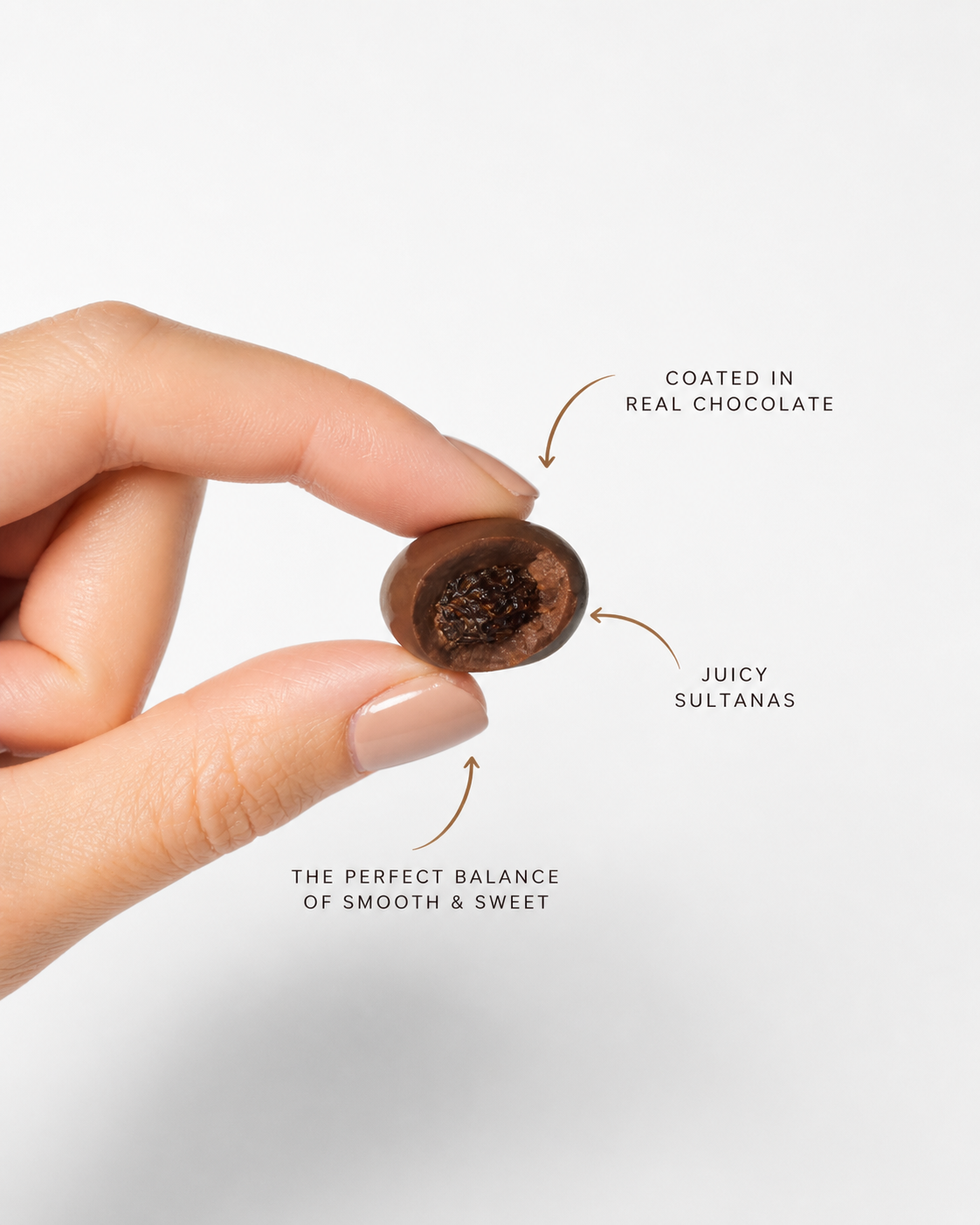Chocolate Sultanas | The Confectionery House