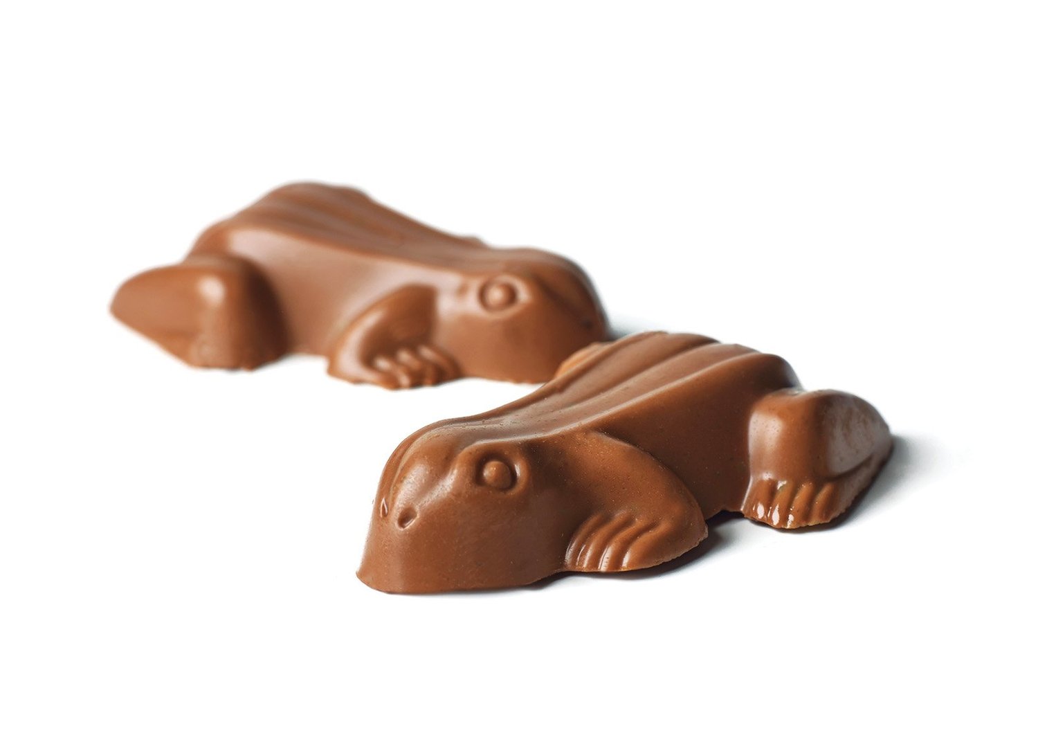 Choc Frogs | The Confectionery House
