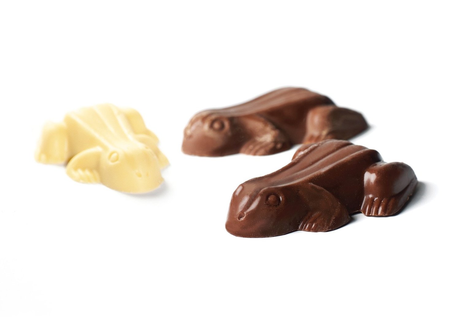 Premium Chocolate Frogs | The Confectionery House